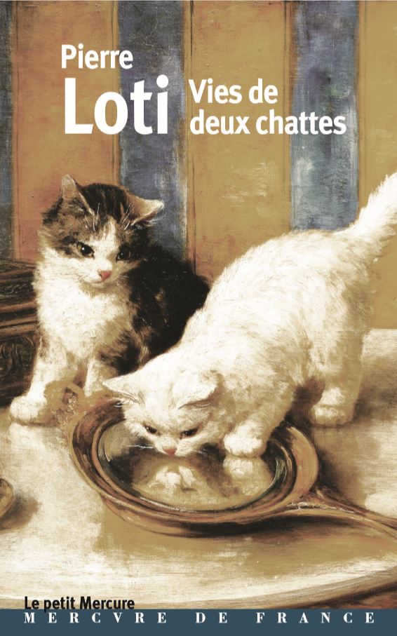 loti - Vies de deux chattes