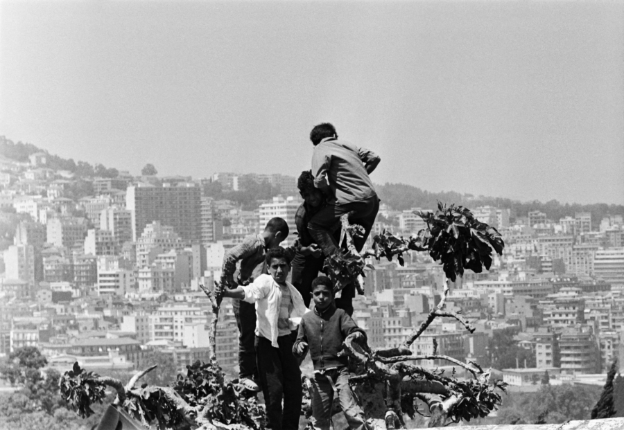 Herschtritt, Léon. "Les Gosses d'Algérie". Jeux d'enfants dans un arbre, sur les hauteurs d'Alger. 1958-1959. Photographie. Collection particulière.