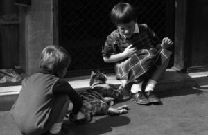Herschtritt, Léon. Enfants jouant avec un chat. Vers 1970. Photographie. Collection particulière.