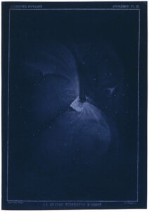 'La grande nebuleuse d'Orion', illustration tiree de Les Etoiles et les Curosites du Ciel par Camille FLAMMARION (1842-1925).