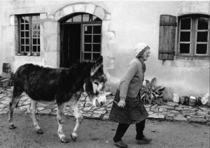 Ferme dans la Creuse