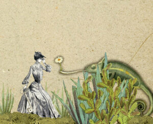 Gautier, Solange. Le Camélélon. 2012. Collage. Collection particulière.