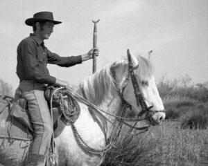 Camargue
