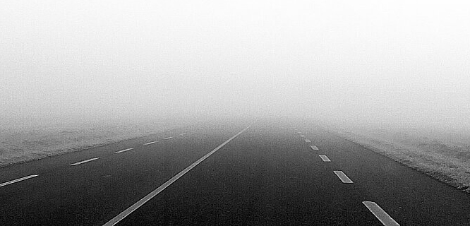 LUDOVIC CANTAIS – Exposition collective « Mandragores » Cantais, Ludovic. Normandie - Seine-Maritime. 2025. Photographie. Collection particulière.