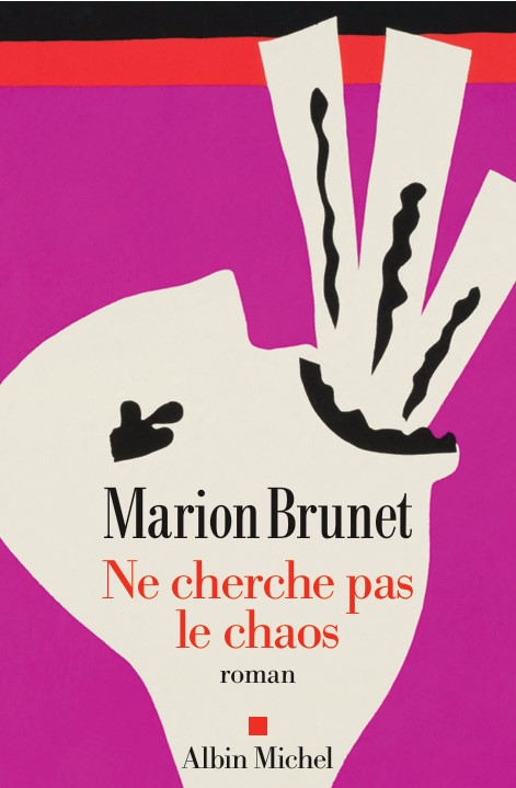 Ne cherche pas le chaos