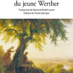 000010 2160 - GOETHE LesSouffrances A36496 PLAT1